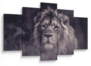 Slika lava (150x105 cm)