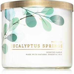 Bath & Body Works Eucalyptus Springs mirisna svijeća 411 g