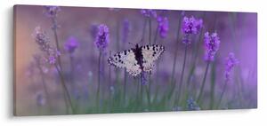 Slika - Leptir u lavandi (120x50 cm)