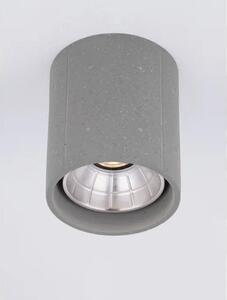 RITZ STROPNA SVJETILJKA SIVA LED 10 Watt 220-240Volt 1044lm 3000K IP65 NL9540227