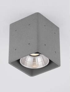 RITZ STROPNA SVJETILJKA SIVA LED 10 Watt 220-240Volt 1021lm 3000K IP65 NL9540228