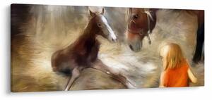 Slika - Dobrodošao u svijet, ždrijebe (120x50 cm)