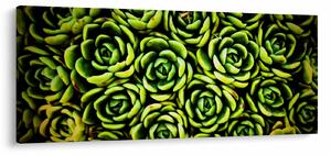 Slika čuvarkuće (120x50 cm)