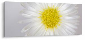 Slika - Margarita (120x50 cm)