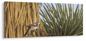 Slika - ptica Palčić (120x50 cm)
