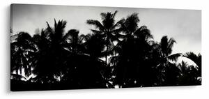 Crno-bijela slika - palme (120x50 cm)