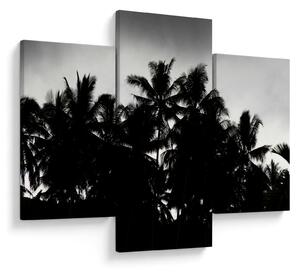 Crno-bijela slika - palme (90x60 cm)