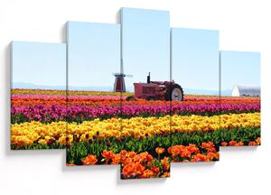 Slika farme tulipana (150x105 cm)