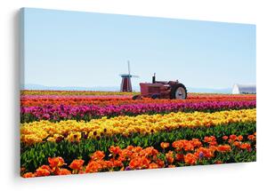 Slika farme tulipana (90x60 cm)