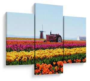 Slika farme tulipana (90x60 cm)