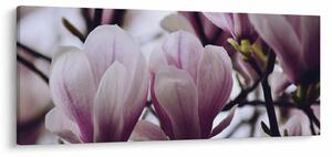 Slika - Magnolija (120x50 cm)