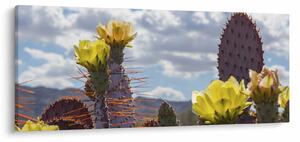 Slika opuncije (120x50 cm)