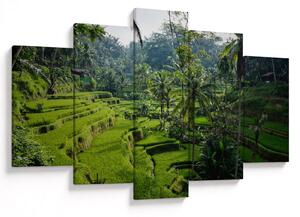 Slika rižinih terasa Tegalalang, Bali (150x105 cm)