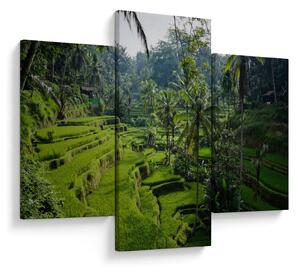 Slika rižinih terasa Tegalalang, Bali (90x60 cm)