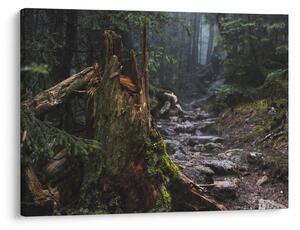 Slika - U šumi (70x50 cm)
