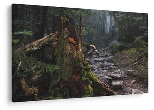 Slika - U šumi (90x60 cm)