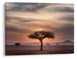 Slika zalaska sunca u Tanzaniji (70x50 cm)