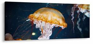 Slika meduze (120x50 cm)