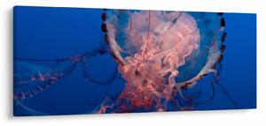 Slika meduze (120x50 cm)