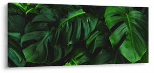 Slika lišća Monstery (120x50 cm)