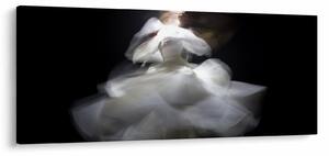 Slika cvijeta lotosa (120x50 cm)