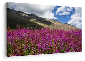 Slika pejzaža planinske livade (90x60 cm)