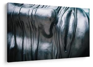 Slika - Čelično lice (90x60 cm)