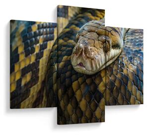 Slika - Piton (90x60 cm)