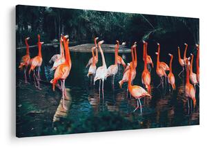 Slika jata flaminga (90x60 cm)