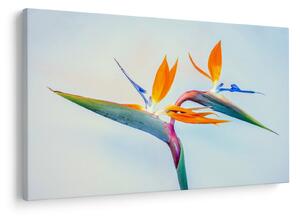 Slika cvijeta Strelicije (90x60 cm)