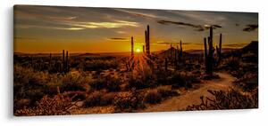 Slika - Kraj dana u pustinji Arizona (120x50 cm)