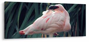 Slika - Flamingo (120x50 cm)