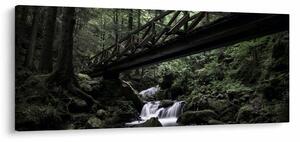 Slika crne šume (120x50 cm)