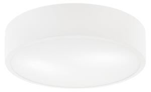 Bijelo stropno svjetlo sa staklenim sjenilom - LAMKUR