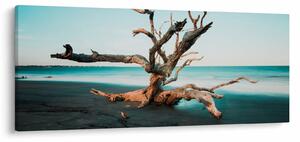 Slika - Naplavine na plaži (120x50 cm)