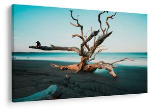 Slika - Naplavine na plaži (90x60 cm)