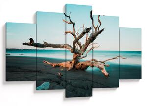 Slika - Naplavine na plaži (150x105 cm)
