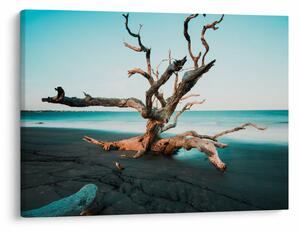 Slika - Naplavine na plaži (70x50 cm)