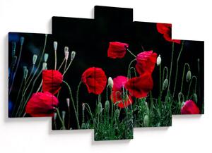 Slika - Ples makova (150x105 cm)