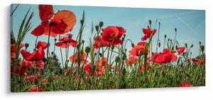 Slika - Na polju makova (120x50 cm)