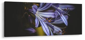 Slika - Lila (120x50 cm)