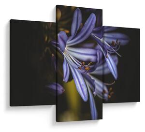 Slika - Lila (90x60 cm)