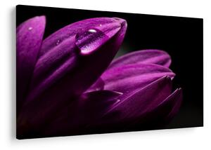 Slika - Kapljica vode (90x60 cm)
