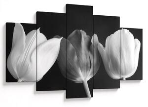 Slika - Crno-bijeli cvjetovi tulipana (150x105 cm)