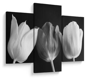 Slika - Crno-bijeli cvjetovi tulipana (90x60 cm)