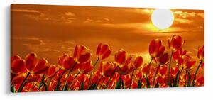 Slika cvatućeg polja s tulipanima (120x50 cm)