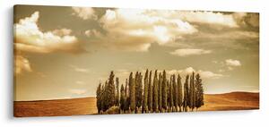 Slika proplanka (120x50 cm)