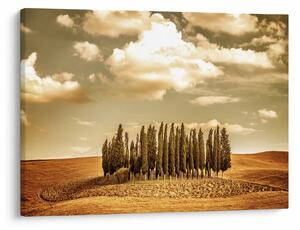 Slika proplanka (70x50 cm)