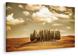 Slika proplanka (90x60 cm)