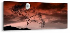 Slika - Mjesec koji osvjetljava noć (120x50 cm)